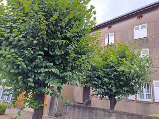  Ferme � vendre 6 pi�ces 167 m�