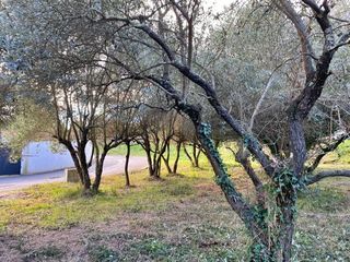  Terrain � vendre 401 m�