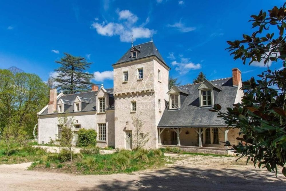 � vendre  Propri�t�/ch�teau Blois (41000)