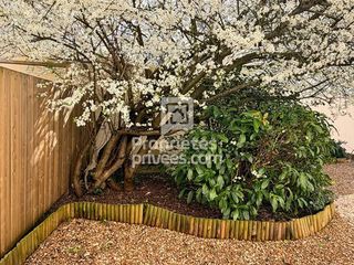  Appartement � vendre 1 pi�ce 21 m�