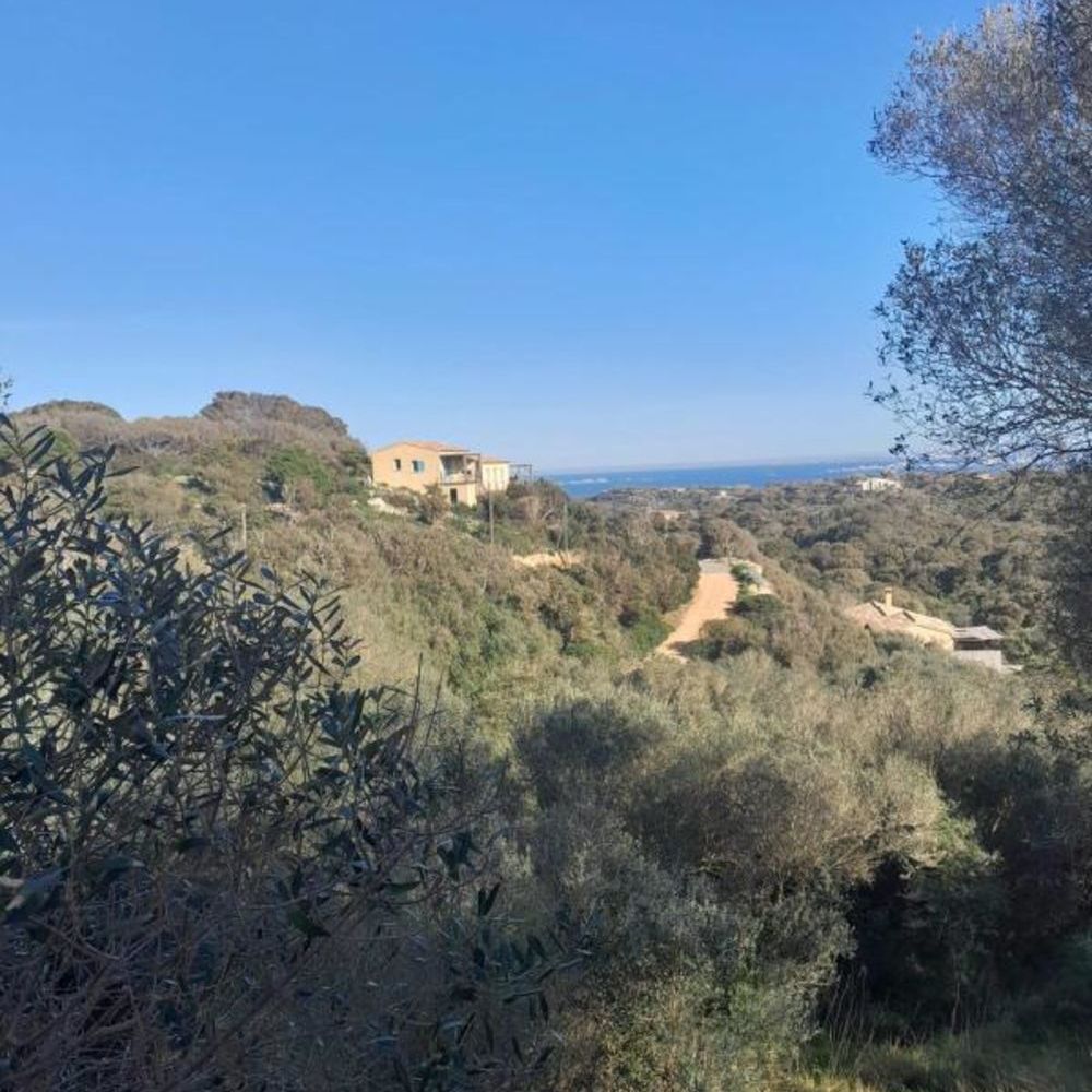 � vendre  Villa Bonifacio (20169)