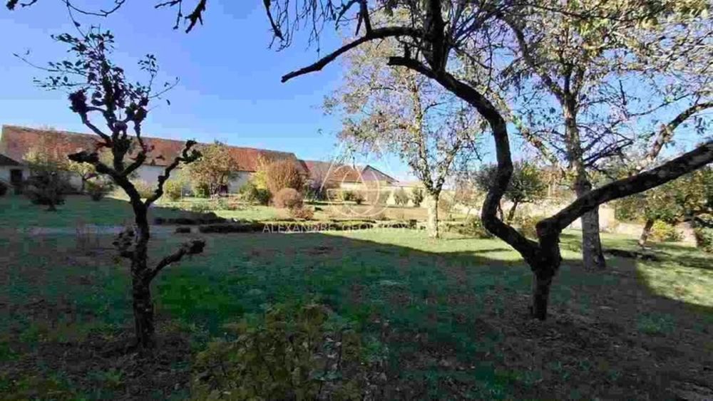 � vendre  Propri�t�/ch�teau Limoges (87000)