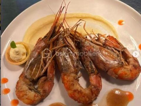 Fonds de commerce au coeur palpitant du centre ville 187900 11100 Narbonne