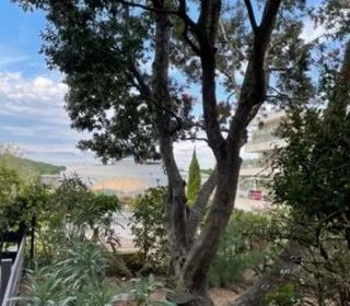  Appartement � vendre 1 pi�ce 25 m�