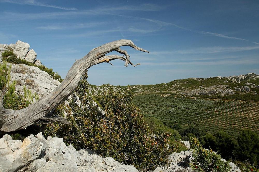 � vendre  Propri�t�/ch�teau Arles (13200)