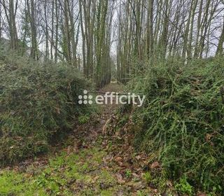  Terrain � vendre 2069 m�