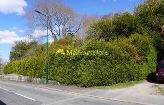  Terrain � vendre 564 m�