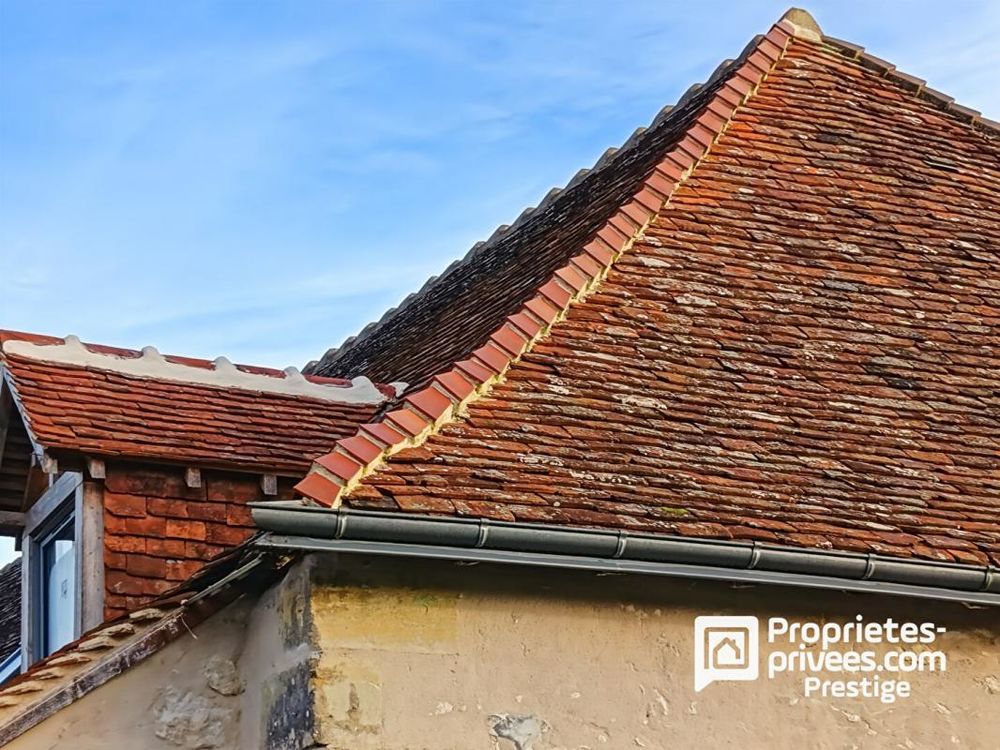 � vendre  Propri�t�/ch�teau Vernou-sur-Brenne (37210)