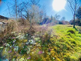  Maison � vendre 10 pi�ces 252 m�