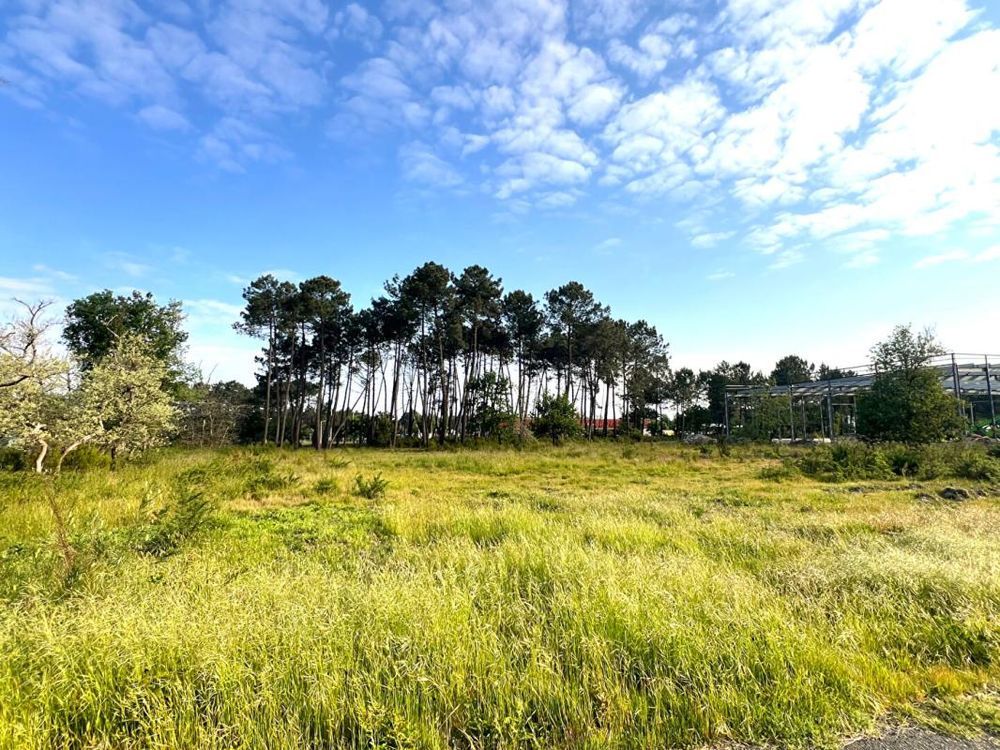 � vendre  Maison Audenge (33980)