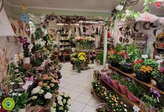  Appartement � vendre 5 pi�ces 71 m�