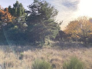  Terrain � vendre 2610 m�