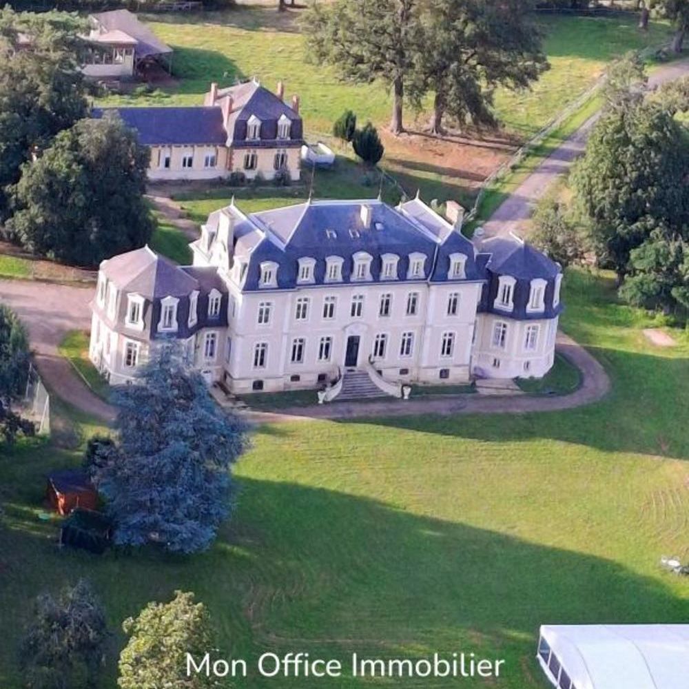 � vendre  Propri�t�/ch�teau Chazemais (03370)