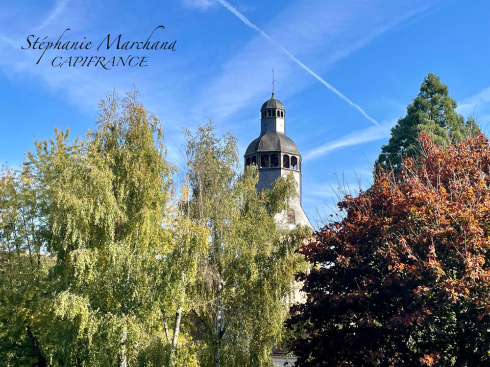 � vendre  H�tel Particulier Thiron Gardais (28480)