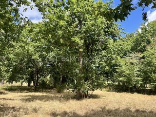  Terrain � vendre 1022 m�