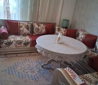  Appartement � vendre 3 pi�ces 52 m�