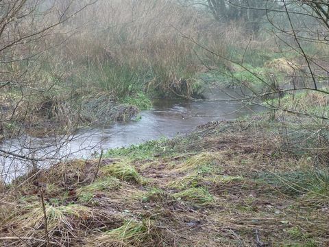   15 km sud de Bourbriac opportunit� agricole, 7,3 hectares en pleine nature pr�s du lac de Kern� Uhel Propri�t�/ch�teau - 4 pi�ce(s) - 200 m�
