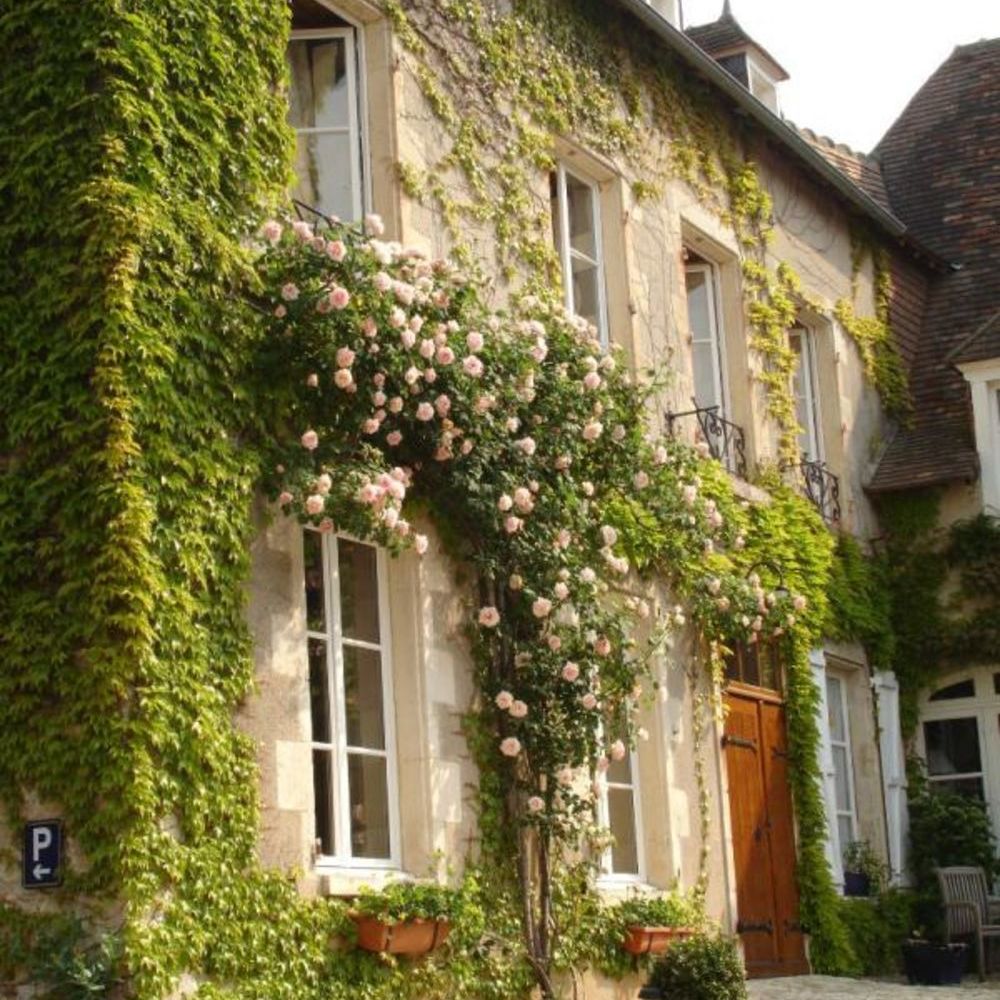 � vendre  Maison La Roche-Posay (86270)