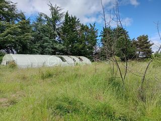  Propri�t�/ch�teau � vendre 10 pi�ces 250 m�