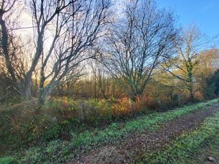  Terrain � vendre 62680 m�