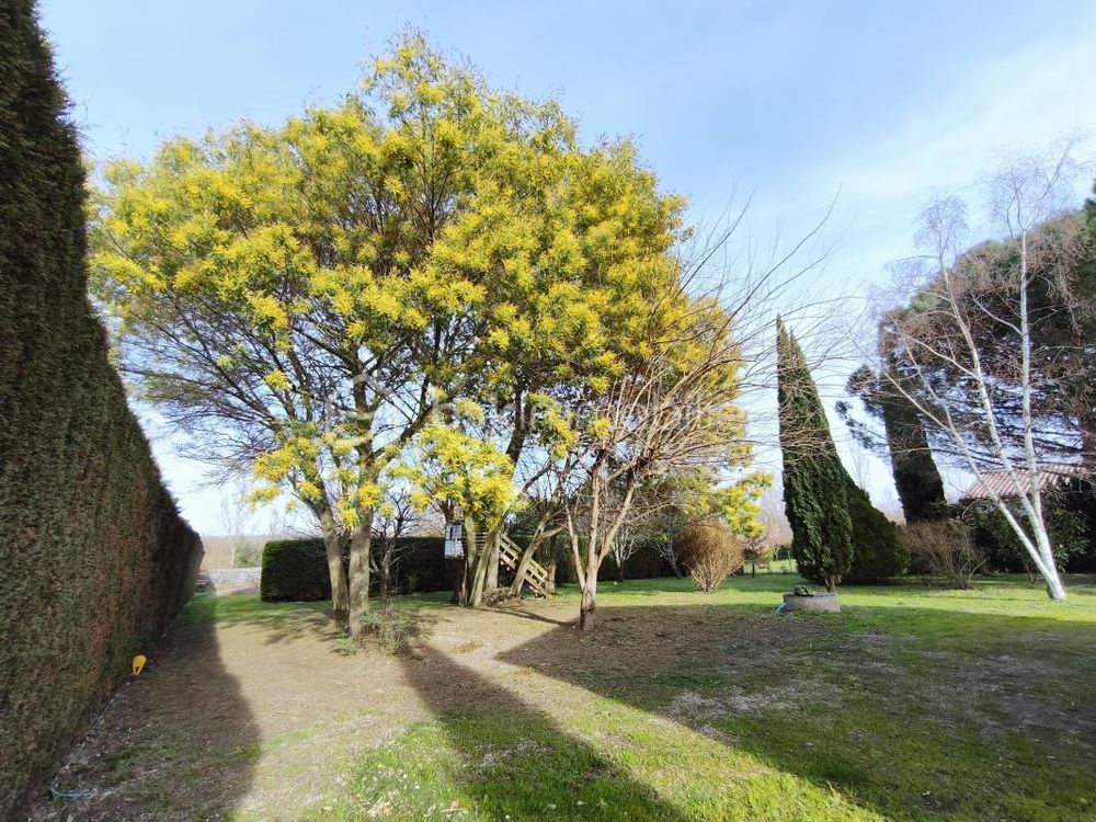 � vendre  Propri�t�/ch�teau Saint-Alban (31140)