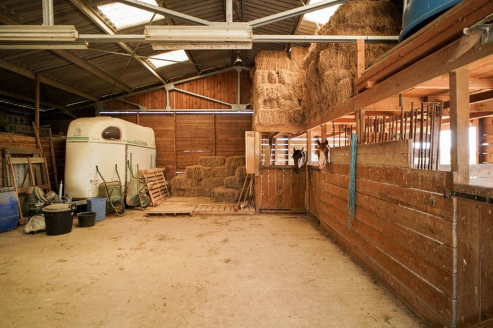 � vendre  Propri�t�/ch�teau Ch�tillon-sur-Chalaronne (01400)