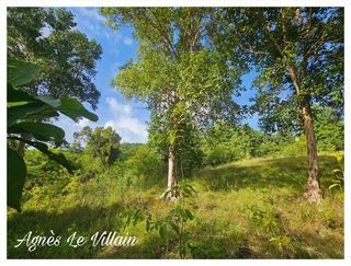  Terrain � vendre 2983 m�