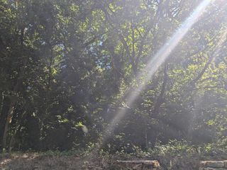  Maison � vendre 1 pi�ce 1 m�