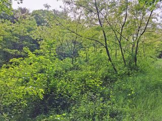  Terrain � vendre 1277 m�