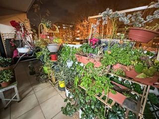  Appartement � vendre 3 pi�ces 68 m�