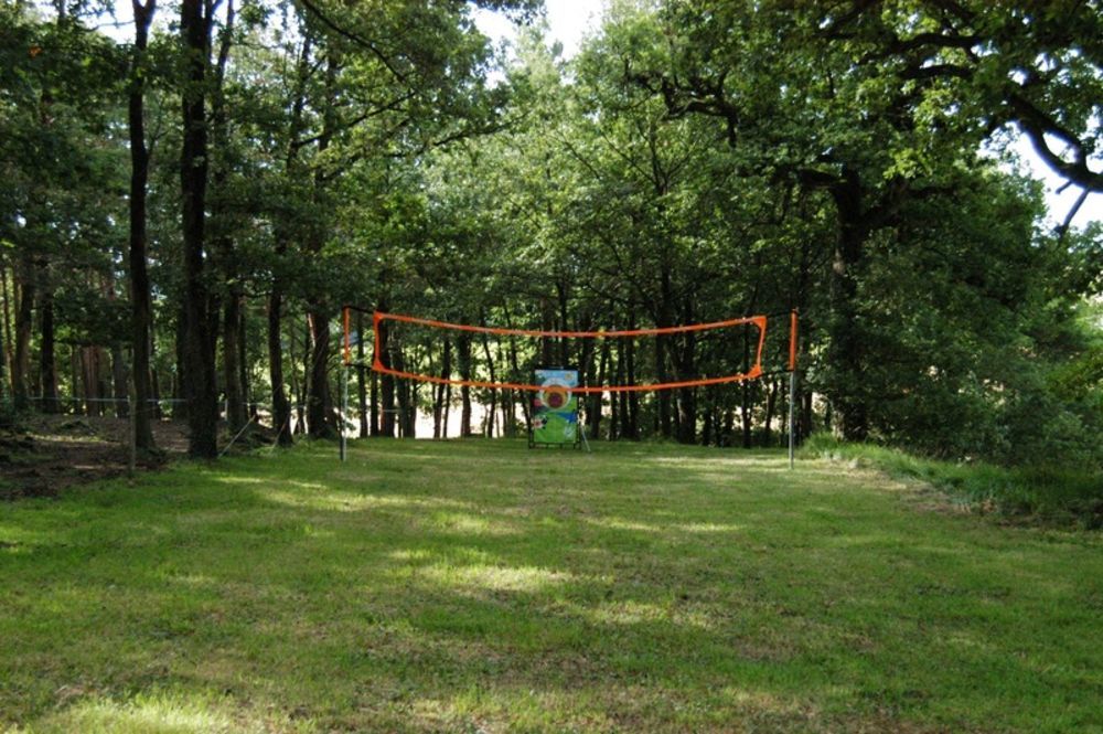 � vendre  Propri�t�/ch�teau Mondion (86230)