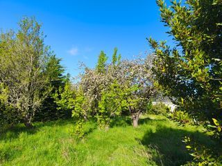  Terrain � vendre 942 m�