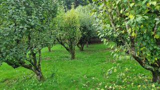  Propri�t�/ch�teau � vendre 10 pi�ces 210 m�