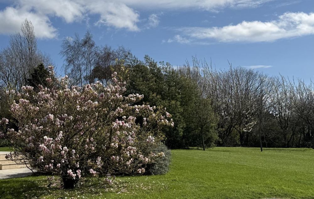 � vendre  Villa Saint-Briac-sur-Mer (35800)