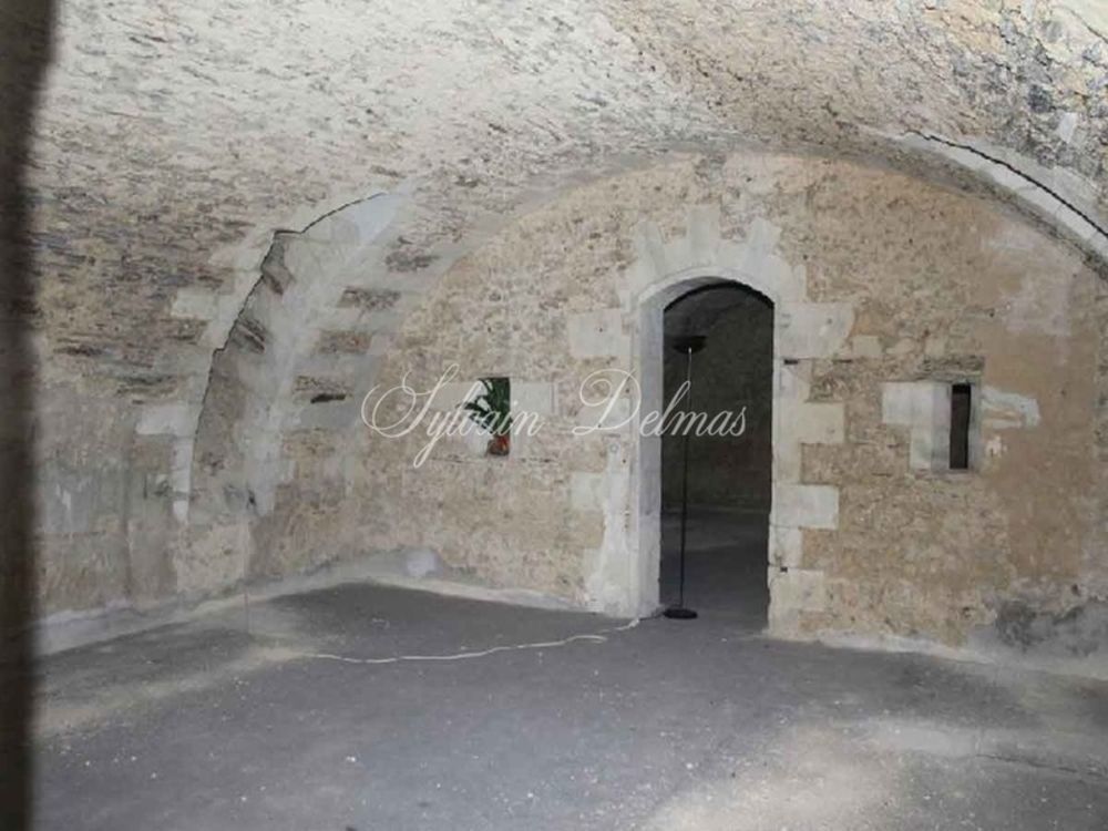 � vendre  Propri�t�/ch�teau Angers (49000)