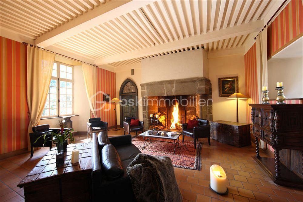 � vendre  Propri�t�/ch�teau Saint-Flour (15100)