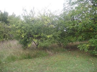  Terrain � vendre 2378 m�