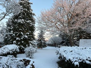  Maison � louer 7 pi�ces 165 m�