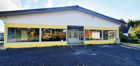 Local professionnel 480m&sup2; sur terrain de 21 ares 419000 67390 Marckolsheim