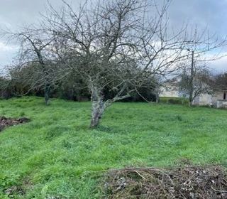  Terrain � vendre 1102 m�