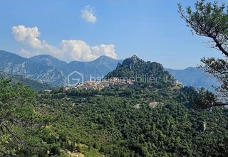  Immeuble � vendre 12 pi�ces 500 m�