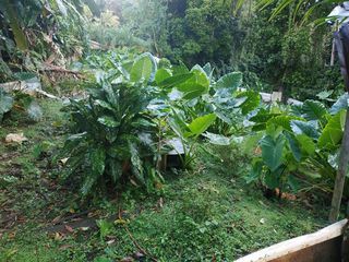  Terrain � vendre 500 m�