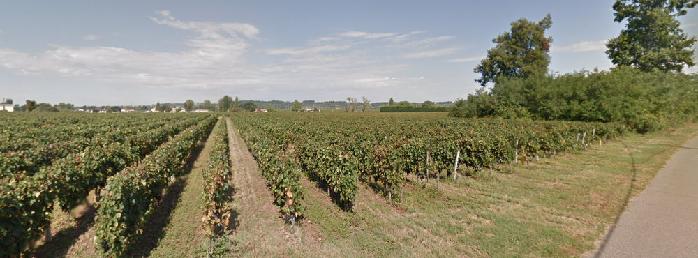 � vendre  Maison Saint-Magne-de-Castillon (33350)