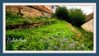  Appartement � vendre 4 pi�ces 98 m�