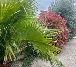  Villa � vendre 4 pi�ces 77 m�