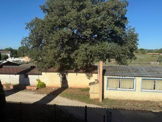  Appartement � vendre 2 pi�ces 30 m�