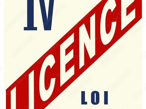 LICENCE IV &agrave; vendre CROLLES (38) 13000 38920 Crolles