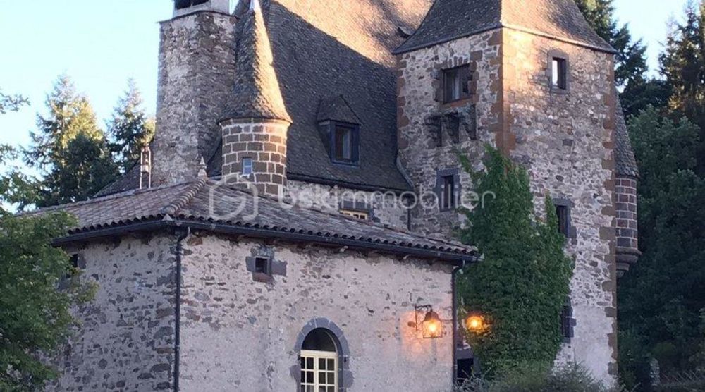 � vendre  Propri�t�/ch�teau Saint-Flour (15100)