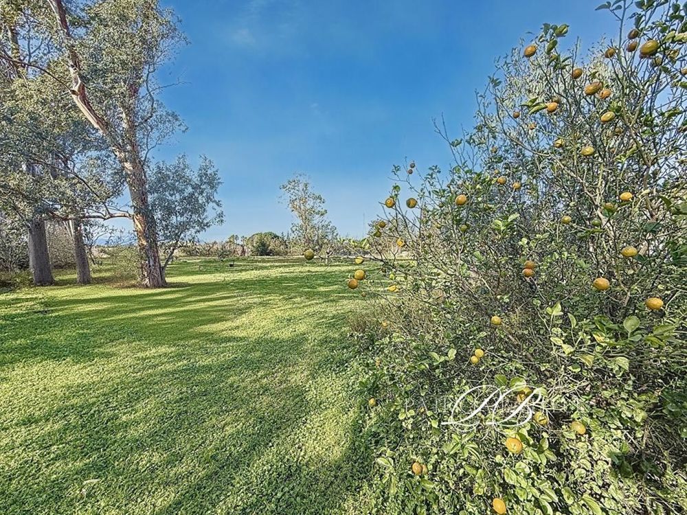 � vendre  Villa Th�za (66200)