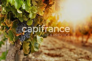  Propri�t�/ch�teau � vendre 5 pi�ces 120 m�